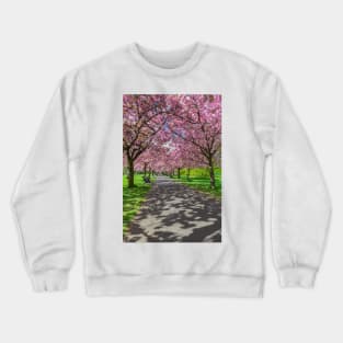 Cherry blossom in Greenwich Park in London Crewneck Sweatshirt